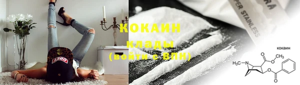 прущие грибы Покровск