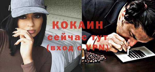 прущие грибы Покровск