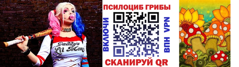 где продают наркотики  hydra ССЫЛКА  Псилоцибиновые грибы MAGIC MUSHROOMS  Ужур 